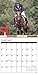 Hunter Jumper 2017 Calendar