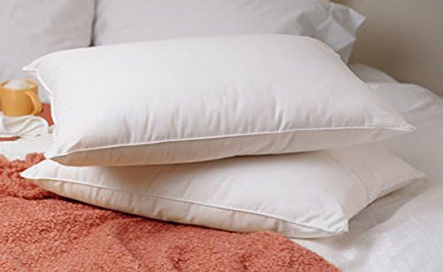 Standard Queen Size Feather Goose Down Bed Pillow Set of 2 Pillows Bedding Set
