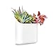 Urbio Big Daddy Wall Planters