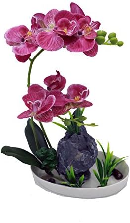 Leeman Artificial Lifelike Real Touch Flowers Arrangement Phalaenopsis Bonsai Orchid Miniascape Home Decoration Holiday Gift (Pink 539)
