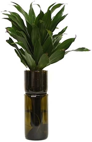 Refresh Glass Wine Bottle Self Watering Planter (Amber)