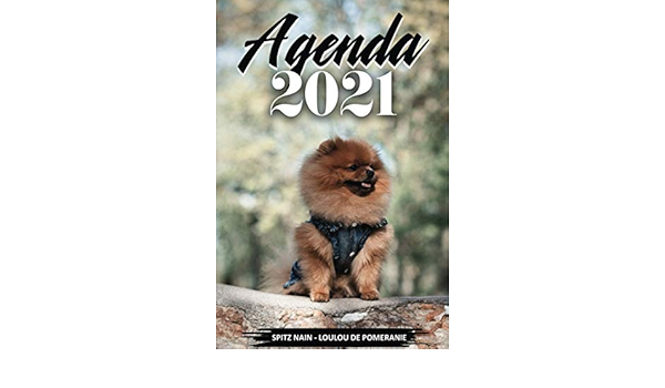 Agenda 21 Chiens Spitz Nain Loulou De Pomeranie Annee 21 De Janvier A Decembre 21 2 Jours Par Page Calendrier Format A5 Idee Agendas Spitz Nain 21 French Edition Woof Dogs Agendas Amazon Com Books