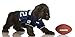 NFL Tom Brady New England Patriots Dog Jersey, Large