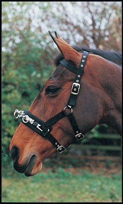 William Hunter Equestrian Hy Lunge Cavesson (Choose from Sizes Small or Large) - 3 Buckle, Fully Adjustable on Head, Nose and Throat. Featuring brow Band Attachment.