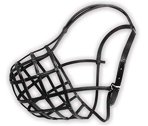 Dino Bigioni Leather Dog Mouth Harness Muzzle for Small Mastiff No. 21, Length 18 cm, Circumference 45 cm