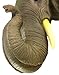 Wonder World African Elephant Head Mount Wall Statue Mini Bust 9 in.