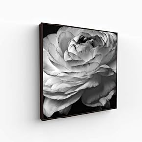 Canvas Wall Art for Living Room, Bedroom Monochrome Image Framed Canvas Prints for Home Decoration Ready to Hang - 16x16 inches