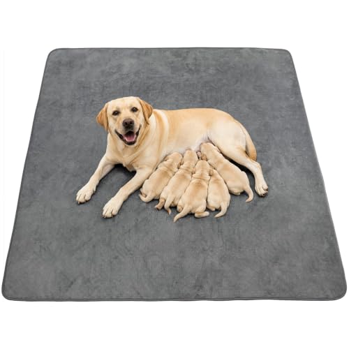 Washable Dog Pee Pads Absorbent Waterproof