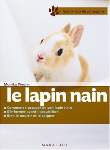 Le  lapin nain