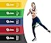 Limm Resistance Bands Exercise Loops - 12-inch Premium Workout Bands for Physical Therapy, Rehab, Stretching, Home Fitness, Yoga and More - Bonus EBooks, Instruction Manual, Online Videos & Carry Bag
