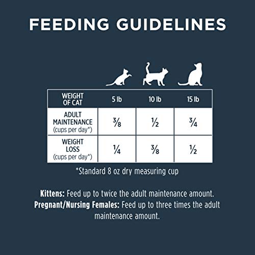 INSTINCT RAW BOOST, NATURAL DRY CAT FOOD WITH FREEZE DRIED PIECES, HIGH PROTEIN, GRAIN FREE RECIPE – REAL SALMON, 4.5 LB. BAG