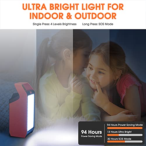 83Wh Portable Power Station, Solar Generator Power Bank with Camping Gear Lights and Battery Backup for Camping, Home Use, Laptops Fan Road Trip, Emergency Hurricane Supplies(Solar Panel Not Included)