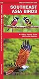 Southeast Asia Birds: A Folding Pocket Guide to Familiar Species (Wildlife and Nature Identification) by 