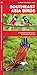 Southeast Asia Birds: A Folding Pocket Guide to Familiar Species (Wildlife and Nature Identification) by 