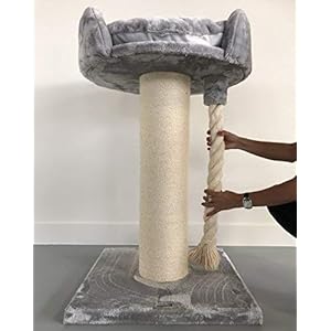 Tiragraffi per gatti grandi xxl Chartreux Grigio Chiaro maine coon robusto adulti grande gatto albero enormi giganti XL