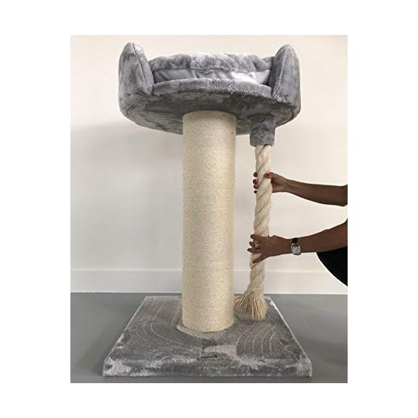 Tiragraffi per gatti grandi xxl Chartreux Grigio Chiaro maine coon robusto adulti grande gatto albero enormi giganti XL