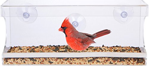 Window Bird Feeder Buy Online In Qatar Feed Our Birds