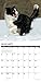 Just Border Collies 2019 Wall Calendar (Dog Breed Calendar)