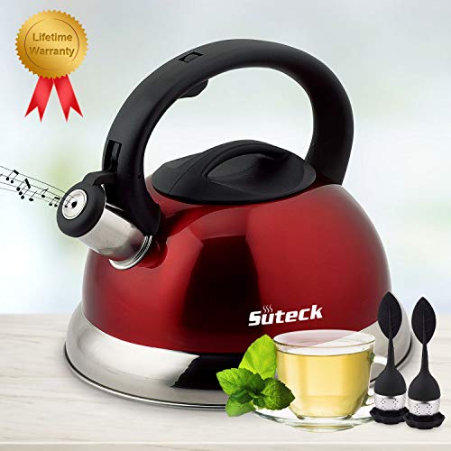 Top 10 Tea Kettles That Don't Rust of 2020 No Place Called Home