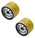 Briggs & Stratton 696854 Pack of 2 Oil Filters