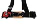 Pro Armor A114220 P151100 Black 4-Point Harness 2