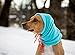 RC Pet Products Summit Dog Snood, Dog Neck Warmer, Medium, Red/Grey