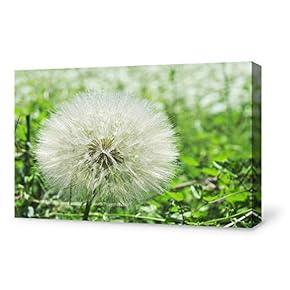 Canvas Wall Art for Living Room,Bedroom Home Artwork Paintings Dandelion Ready to Hang - 12x18 inches