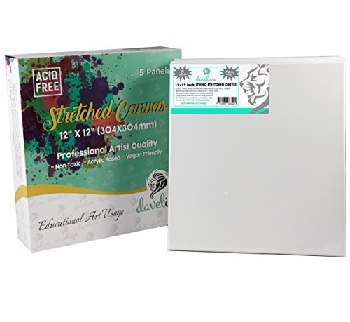 Daveliou Stretched Canvas 12â€x12â€ - Blank Stretched Framed Canvas 5 Piece Pack - Triple Primed Art Canvas