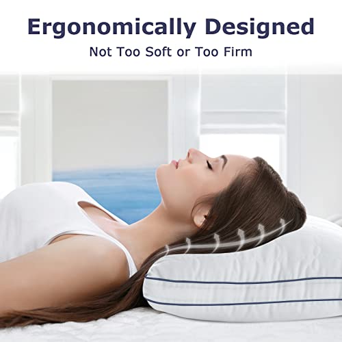 BedStory Hotel Collection Pillows 2 Pack Queen Size, Hypoallergenic