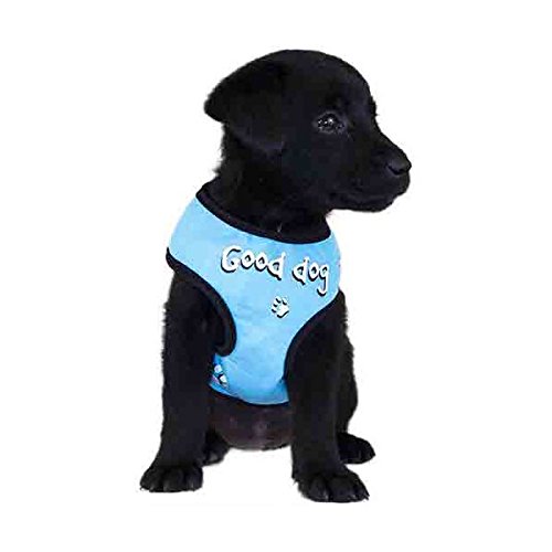 NC Harnais Tshirt Bleu Simple pour Chien Taille unique