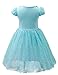 Eyekepper Kids Children Girls Cartoon Elsa Princess Cosplay Mesh Bubble Dress Blue