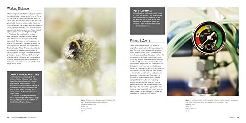 Mastering Macro Photography - Thumbnail 3
