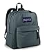 JanSport Classics Series Spring Break Backpack (Forge Grey)