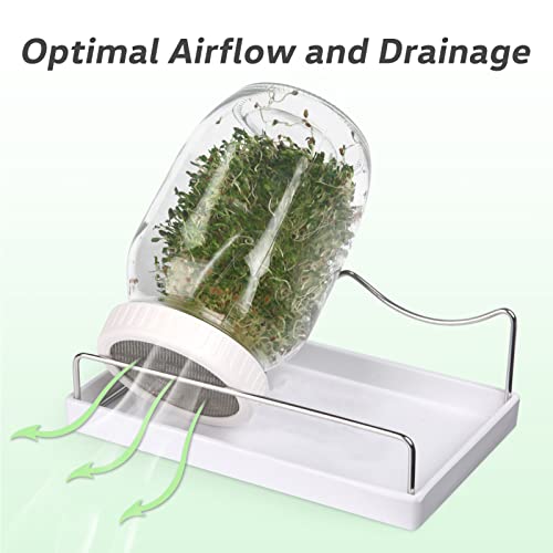 Complete Sprouting Jar Kit 2 Wide Mouth Mason Jars, 316 Screen Sprout Lids, Blackout Sleeves