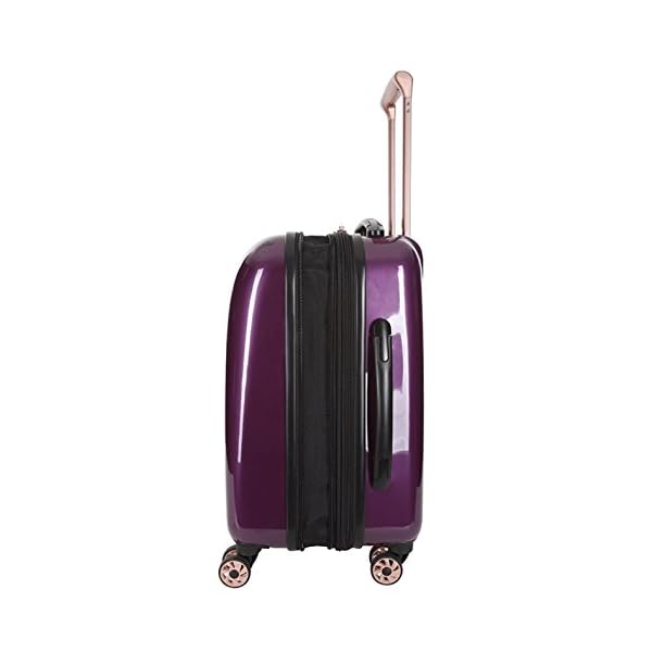 it luggage candy skull