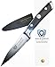 Dalstrong Serrated Paring Knife - 3.75 inch - Gladiator Series Elite - Forged German High-Carbon Steel - Black G10 Handle - Kitchen Knife - w/Sheath - NSF Certified
