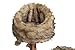 Pet Control HQ Cat Tree Condo 39 Inch Tall Scratcher Post Pet Bed Furniture, Authentic Pear Tree Bark Post with Activity House w/Scratching Sisal, Spacious Perch and Interactive Toy, Brownthumb 3
