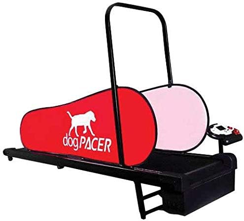 dogpacer lf 3.1