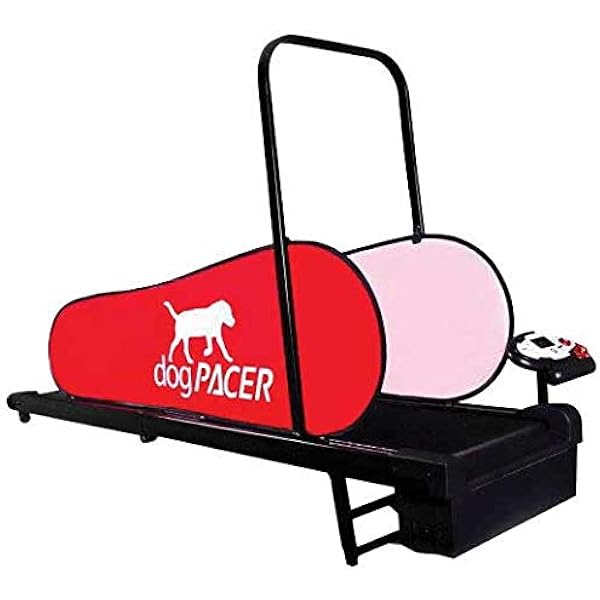 treadmill for dogs used