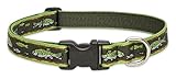 LupinePet 1-Inch Brook Trout 12-20-Inch Adjustable Dog Collar for Medium and Large Dogs