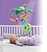 Fisher-Price Rainforest Peek-a-Boo Leaves Musical Mobile