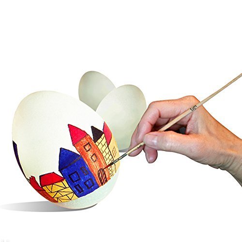 HAKACC Easter Eggs Wooden Fake Eggs 9 Pieces 2 Colors