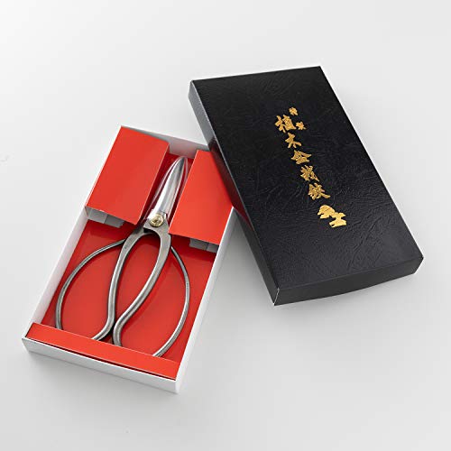 Hanafubuki Professional Bonsai Scissors Stainless Steel with Shinogi, Made in Japan 7inch(180mm), Japanese Bonsai Garden Tools, Hasami Pruning Shears - Traditional Stainless Steel - Thumbnail 6