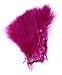 Creative Angler Strung Marabou Bird Feathers for Tying Fly Fishing Flies - Fly Tying Accessories - Perfect Choice for Tail & Wings and Easy to Tie On The Lure - Approximately 0.3 Ounces - Hot Pink