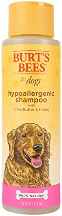 burt's bees hypoallergenic