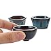 Bonsai 20 Mini Glazed Pots Small Succulent Plant Flower Planters