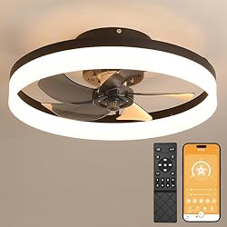 19.6" Ceiling Fans With Lights, Semi-enclosed Flush
