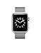 Apple Watch (38MM) Stainless Steel Case with Milanese Loop