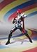 Bandai Tamashii Nations akibaranger Super AkibaRed Action Figure by S.H.Figuarts