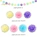 NICROLANDEE Unicorn Party Supplies - Pink Tissue Paper Pom Pom Flowers Eyelet Paper Lanterns String Hanging Circle Dots Garland for Baby Shower Birthday Wedding Decorations Nursery Room Wall Decor